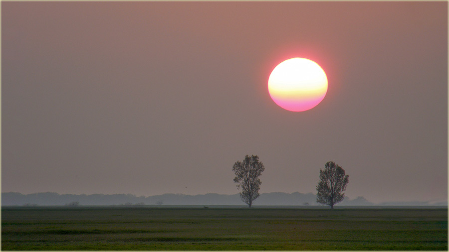 Pssst..., atar se sprema za spavanje...