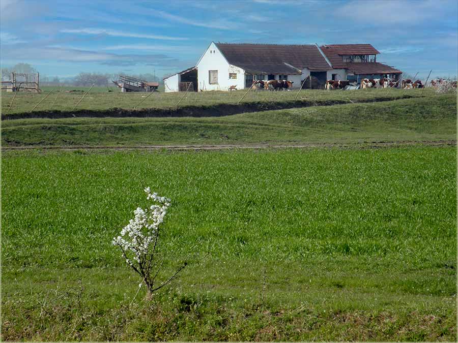 Ovi dna, nêma di nam neCveta atar !!!