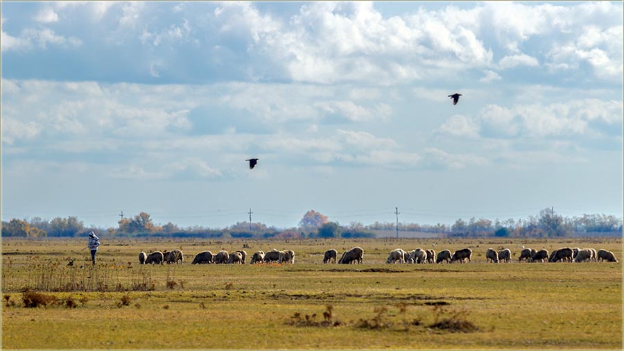 Znate..., uAtar ume da bidne, dugaak dn !!!