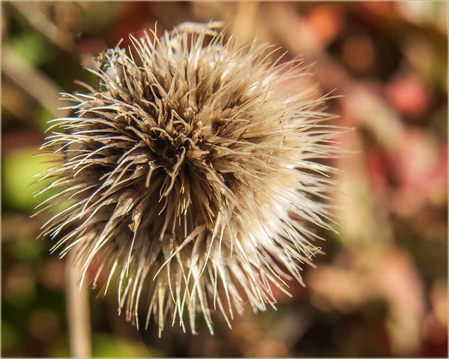 NeZnam kako se tano zove..., al...
