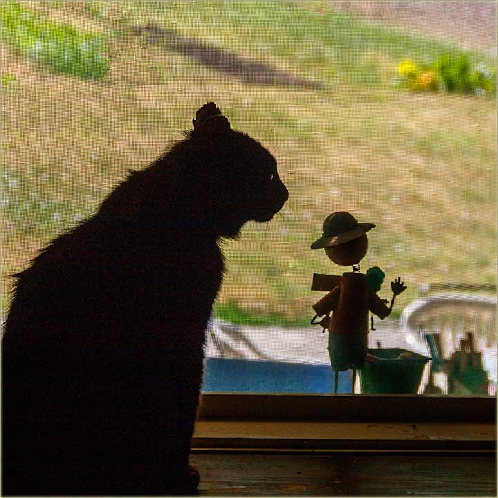 Doek na ulaz uKuu, kodNs Beliovi...