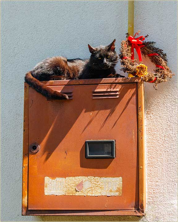 E uda njegovog..., pa gle di je Crn Gruja !?!