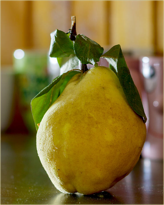 Dgnja i Dgûnjac ?!?