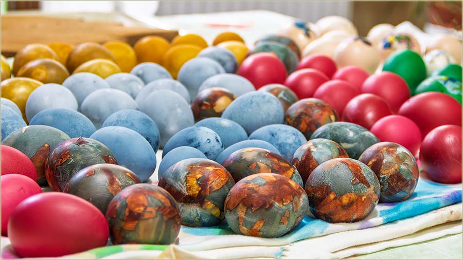 Frbana jaja, 2025-te...