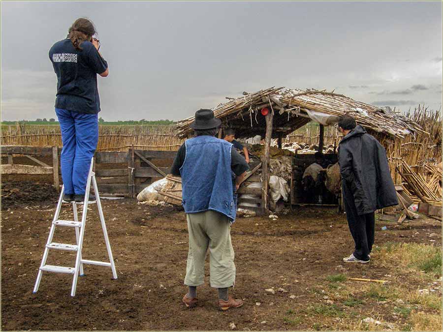 Bidne i kodNs u Miloevo, domai foto safarija...