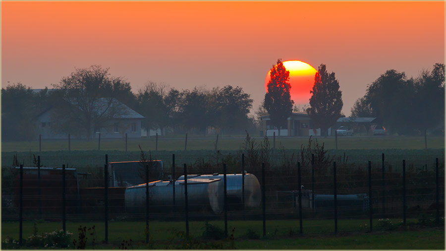Prijavnica Italtex Intimo - Cûnce odlazi !!!