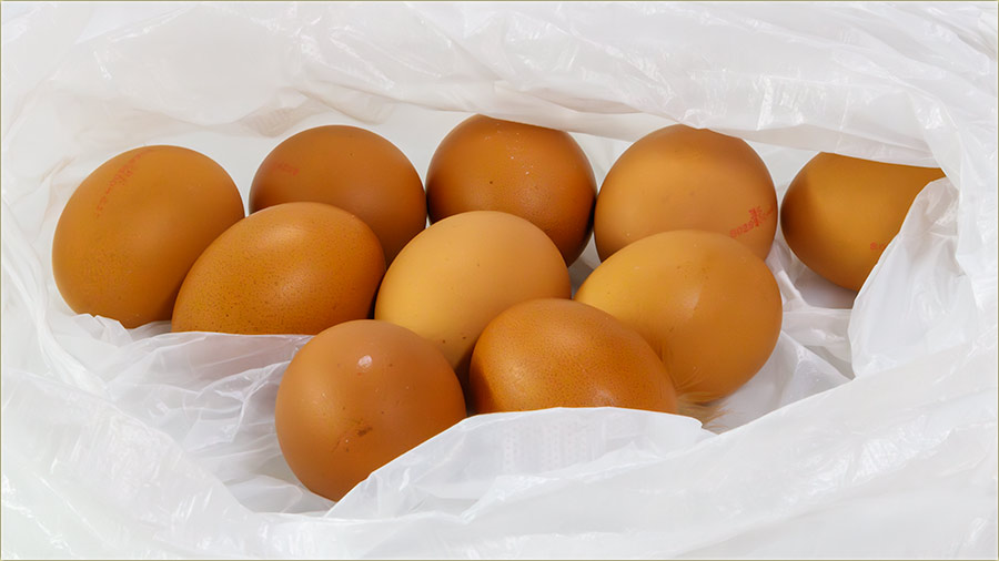 Van tojsod ( ima li jaja... ) ?