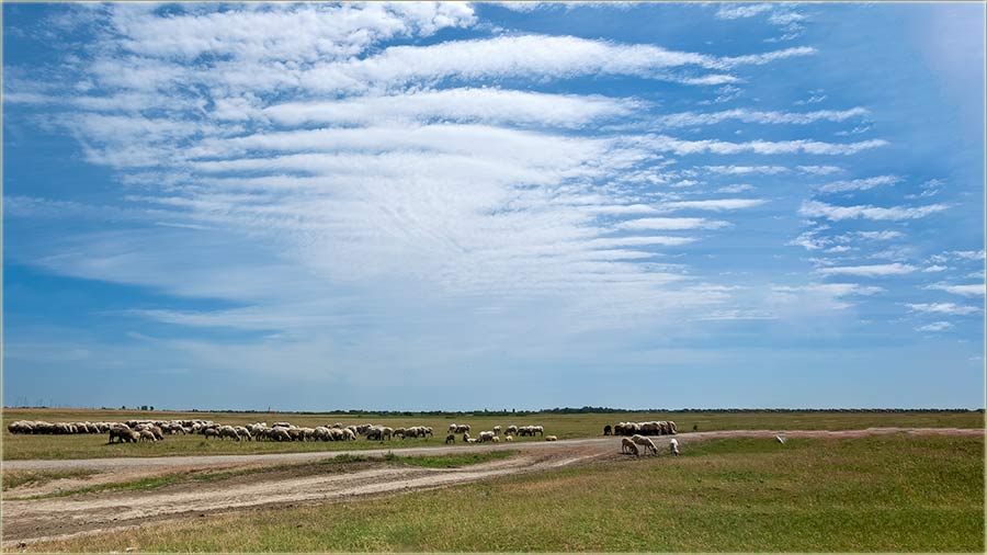 Kad zvêzda uPee !!!