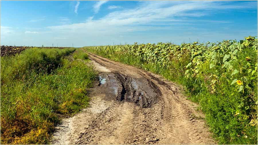 Aftovi neMoedu ovudana proi !!!