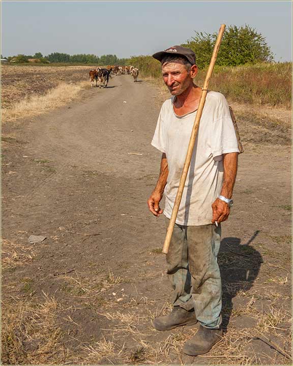 Kako ovim kravaru..., stoji tp !?!