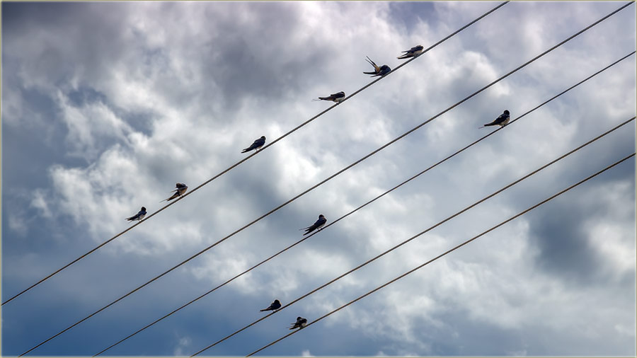 Laste e biti kodNs, jo najmanje mesec dna !!!