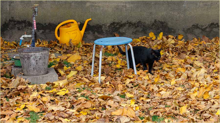 OtKad je Svêta i vêka, znalo se...