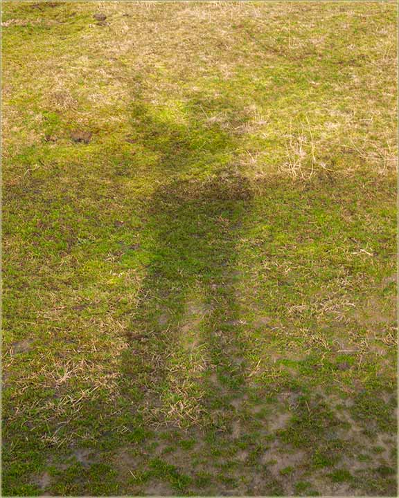 Moja senka Vas srdano pozdravlja !!!