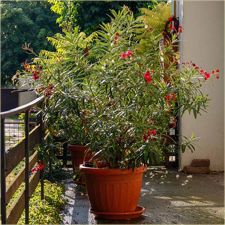 Najzad prava kia..., za popodnevno spavanje !!!