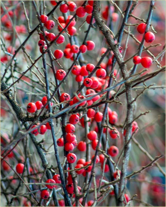 Evo tebi jedan ipak !!!