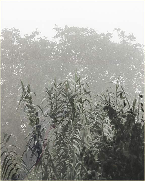 Za rubliku - da ostane pribeleeno...