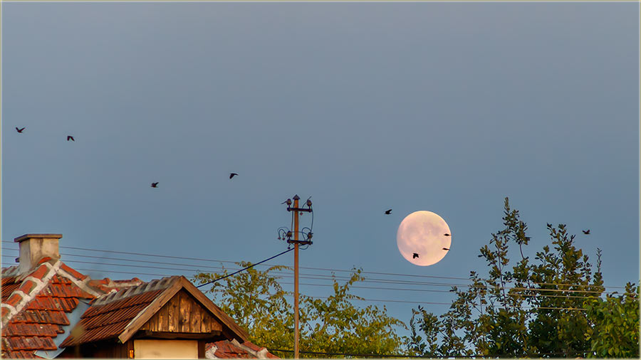 Zdravo Miloevo..., eto mene !!!