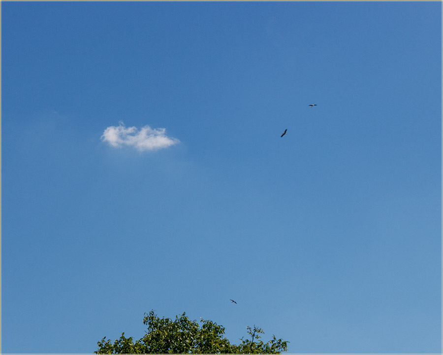 Kad rode lebdidu uKrug..., visoko !!!