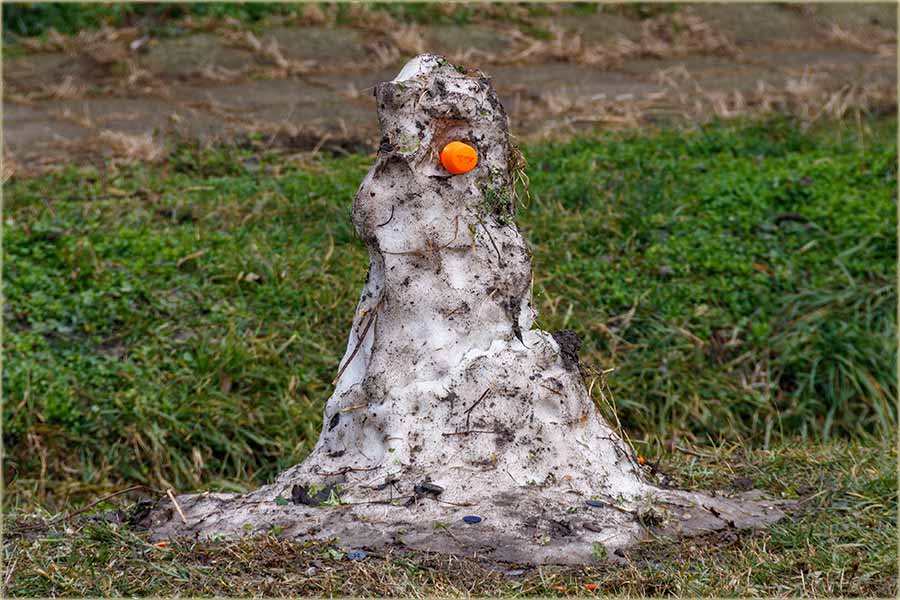 Poslednji Sneko Beli, ove zime ?