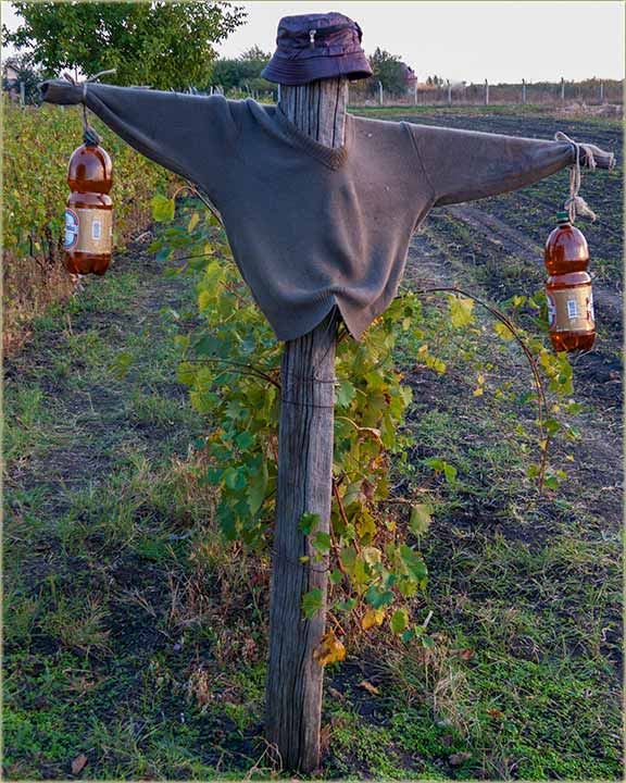 Kako napraviti strailo, na brzu brzinu ?