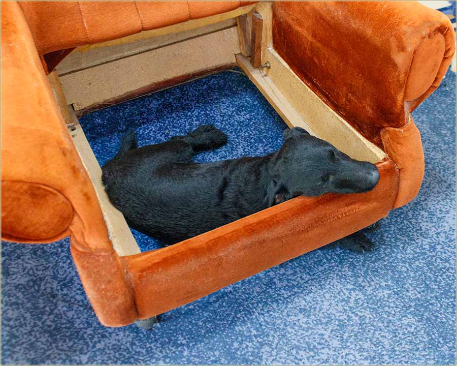 uvam ja meni, moju fotelju !!!