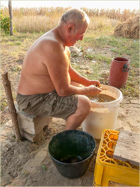 Tako se t, nekad rdilo !!!