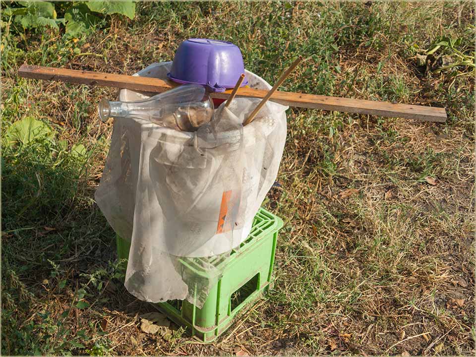 Dal znate, ta je naSliku ?