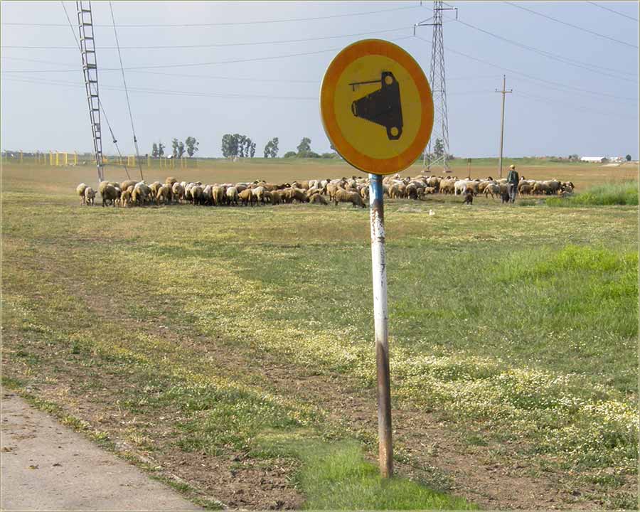 Ti e meni, da zabrani, da slikam ?