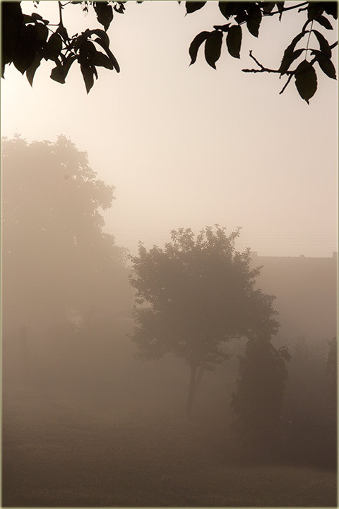 Prva, jesenja magla...