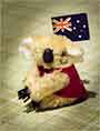 Stigla koala, od Kengur Lale iz beloga sveta !!!