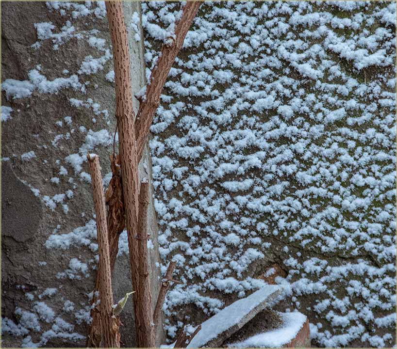 Prvi sneg, zime 2018 / 2019..., a u Miloševo !!!