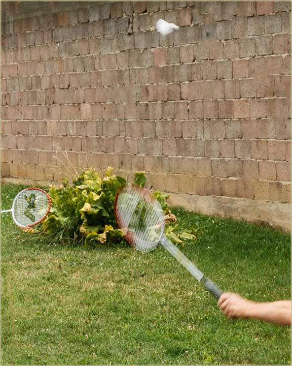 Ajd..., da se preJavimo za badminton !!!