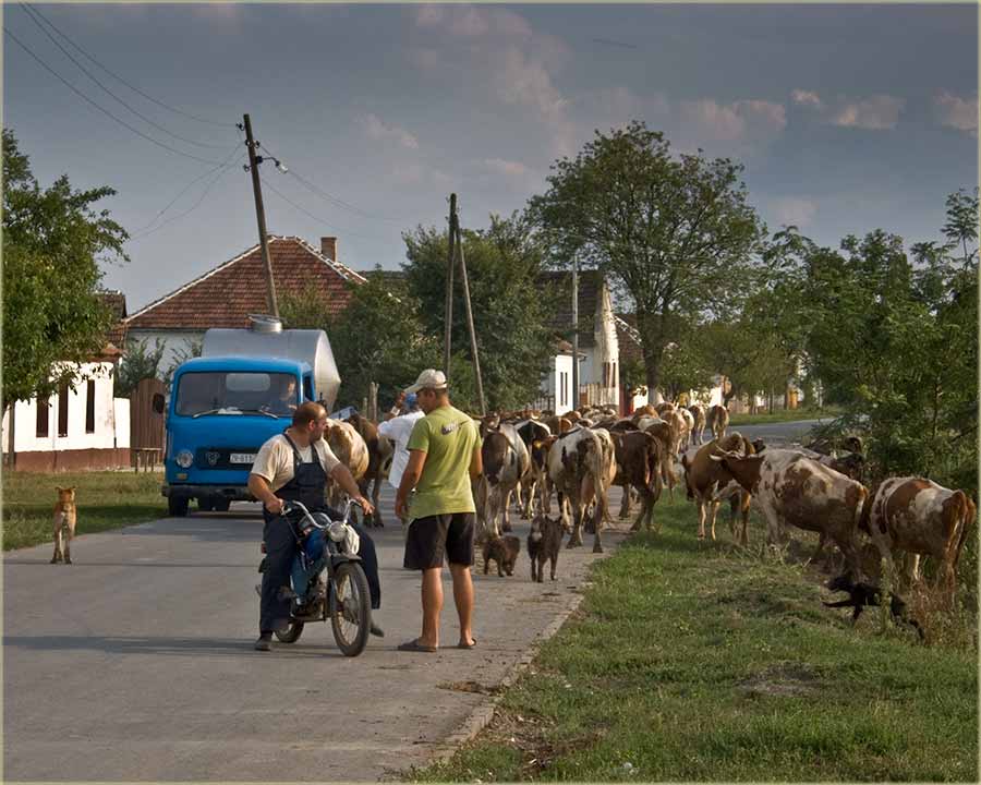 Ni na Sv. Iliju...