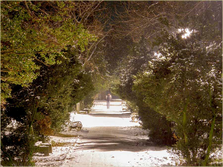 Aaav..., �to bi volo da padne..., sn&ecirc;g...