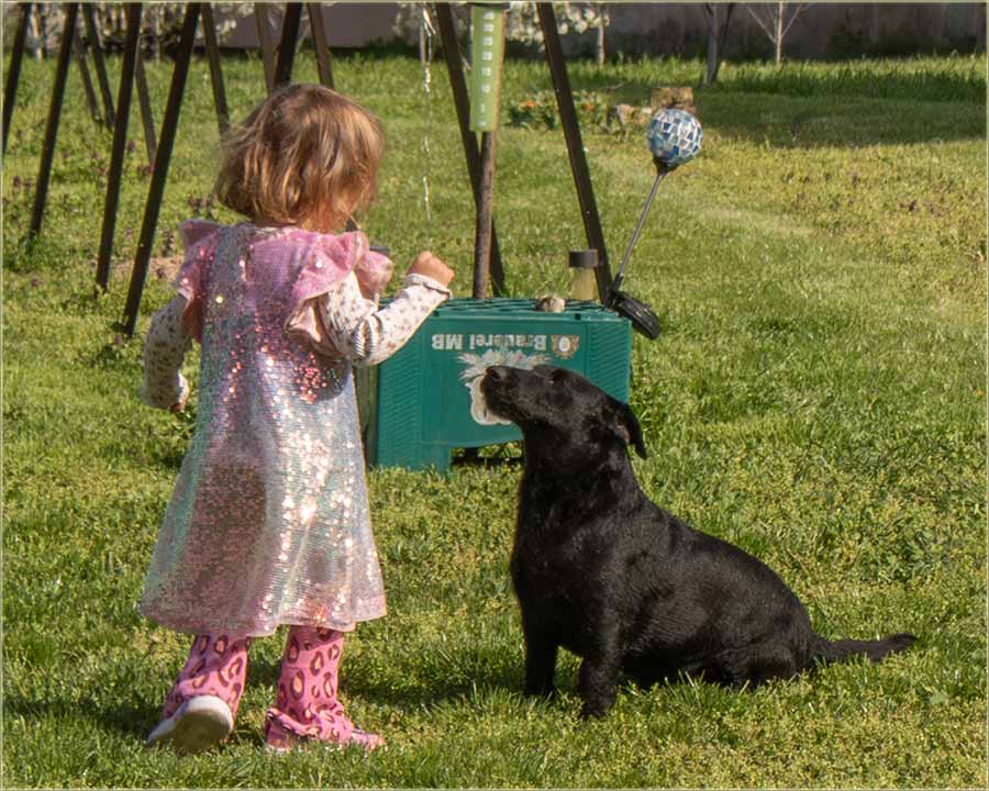 Nova gazdarica se i dalje poštuje !!!
