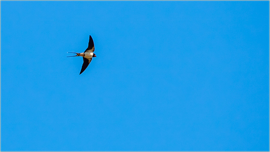 I laste su nam doLetileee !!!