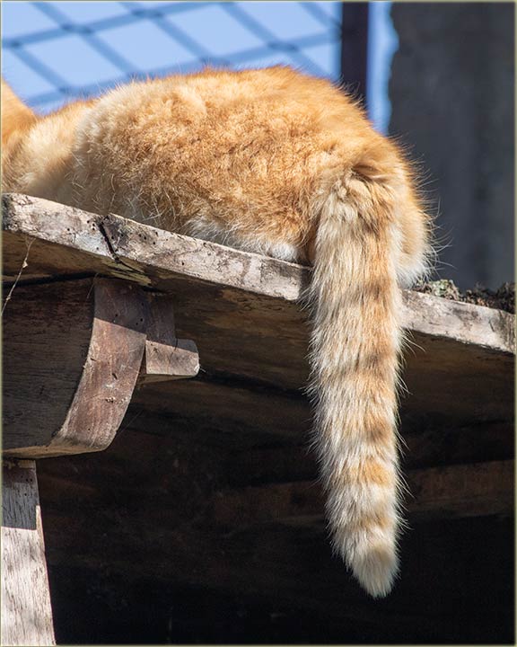 Na�e ma�ke, jo� uvek odmaradu od februvara !!!