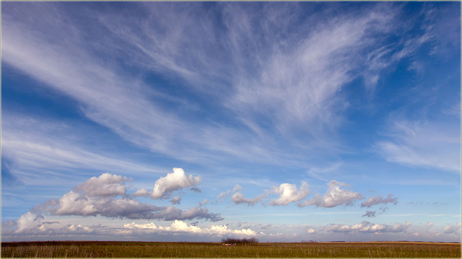 Ej..., blago Vama vojvo�anima...