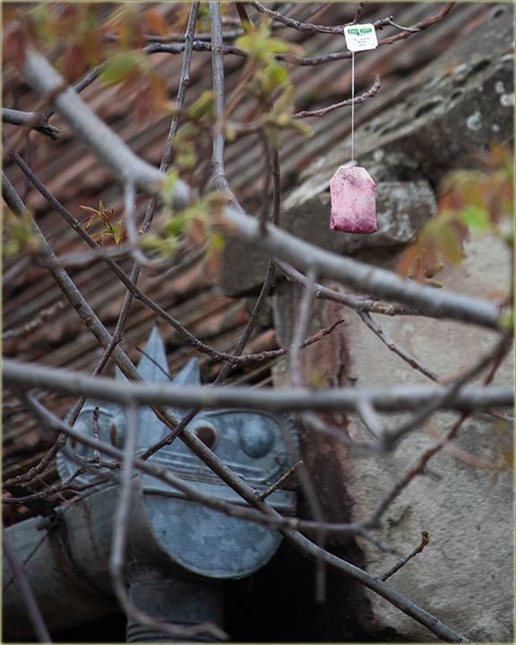 I ovo niste nigdi vidili, osim u Miloševo !!!