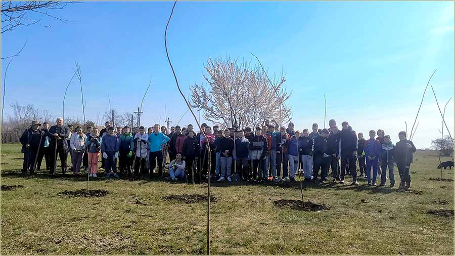 NE LOMITE NAM BAGRENJE !!!