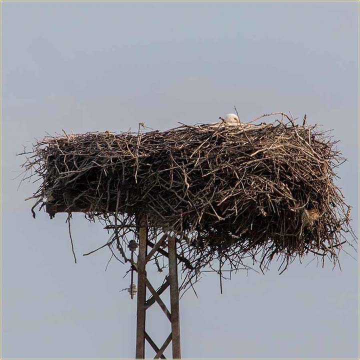 Rode su nam stigleee !!!