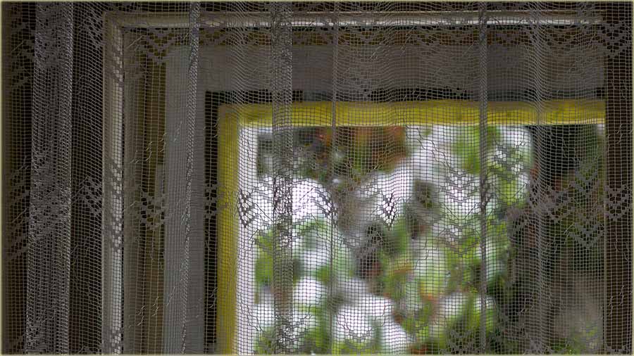 Zar ti neVole�, kad pada sneg ?!?