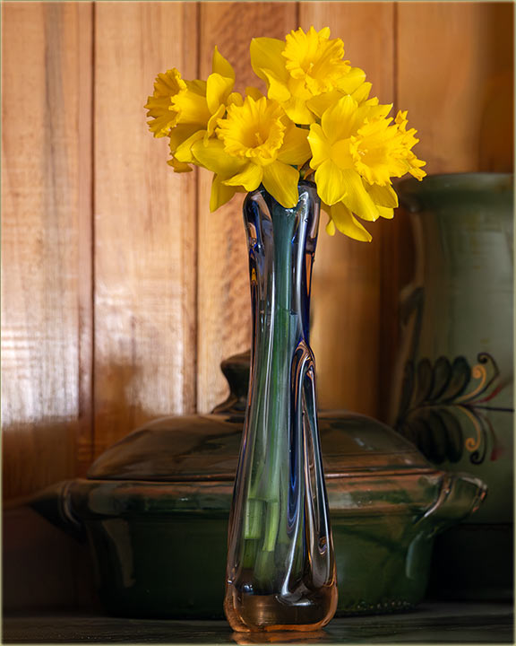 Sad je pravo vreme za narcise !!!